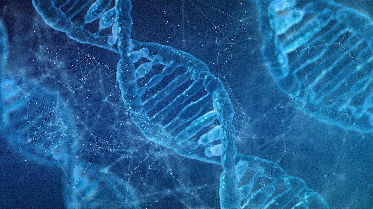 dna, biology, free background, the science, desktop backgrounds, dna helix, protein, cool backgrounds, windows wallpaper, free wallpaper, molecule, hd wallpaper, molecular structure, chromosome, spiral, mac wallpaper, microbiology, deoxyribonucleic acid, 3d, wallpaper hd, isolated, wallpaper 4k, 3d wallpapers, the medicine, gene, genetics, genetic material, 4k wallpaper 1920x1080, laptop wallpaper, laboratory, wallpaper, 4k, to provide, 4k wallpaper, fantasy wallpaper, dna, dna, dna, beautiful wallpaper, full hd wallpaper, dna, dna